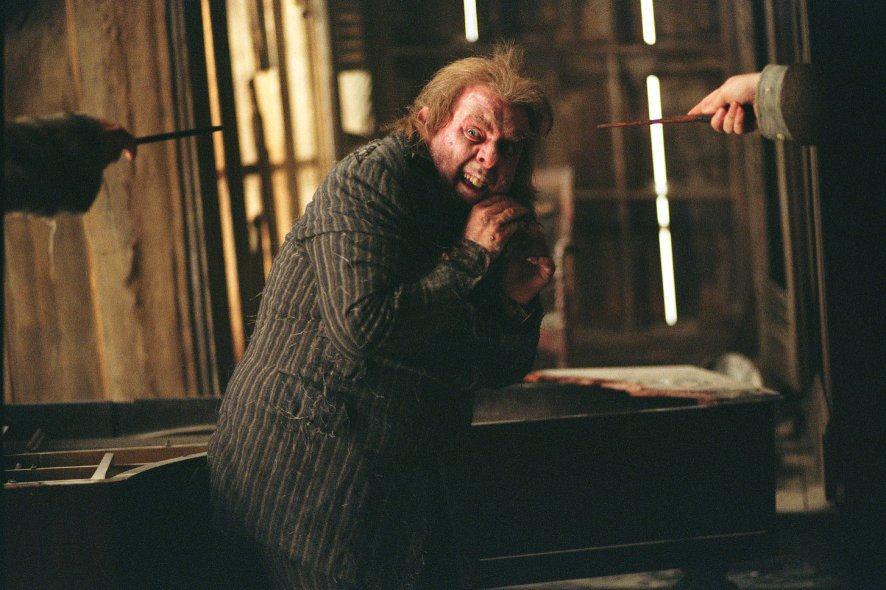 harry potter and deathly hallows_11. My Top Ten Worst Harry Potter