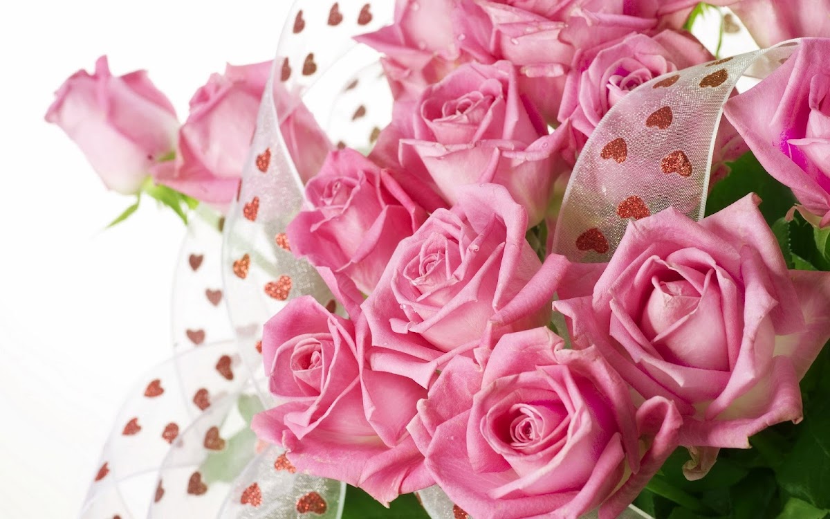 Pink Roses Widescreen Wallpaper