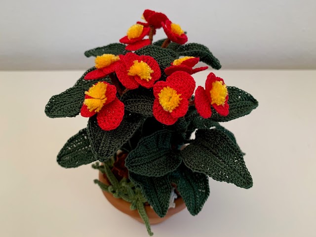 How to crochet Begonia flower