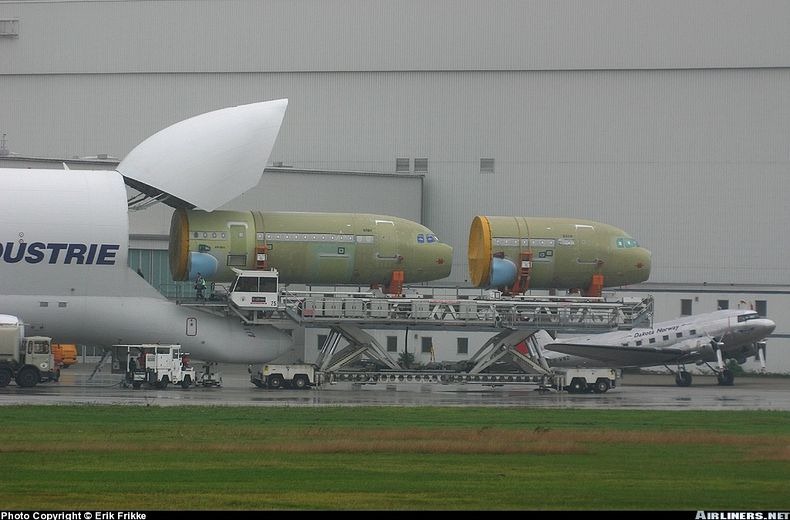 beluga-2
