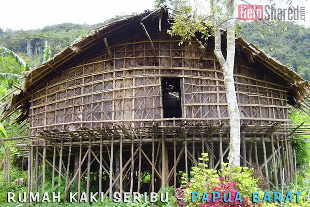 rumah kaki seribu