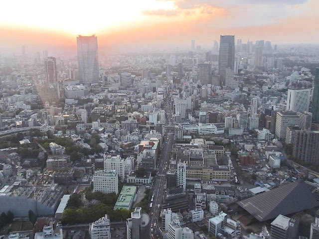 地球と言う星に知的生命体はいなかった話【c】