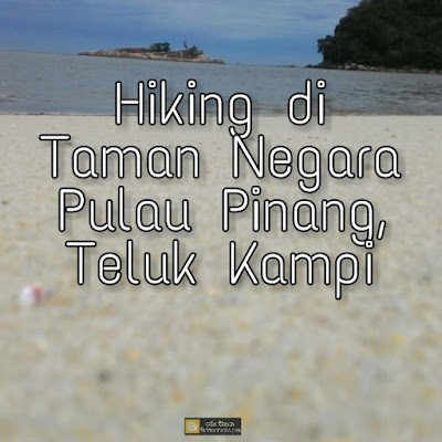 taman negara pulau pinang, teluk kampi