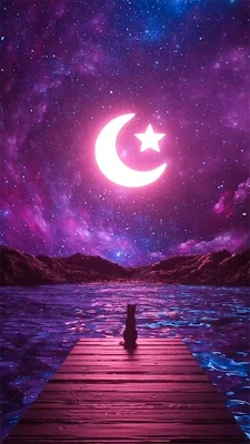 iPhone Wallpaper: Cat, Moon, Stars, Sky, Night, Lake, HD