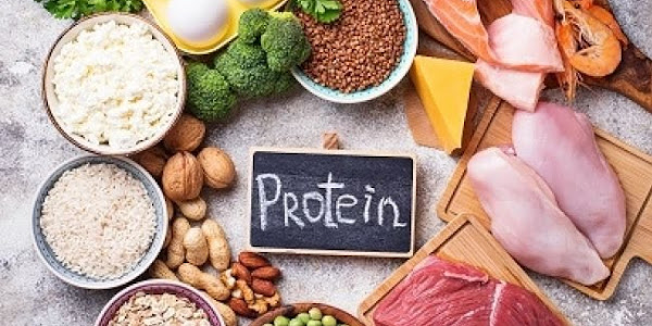 Importance of Protein Intake for Muscle Health