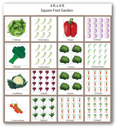 Square Foot Gardening Layout | mouade agafay