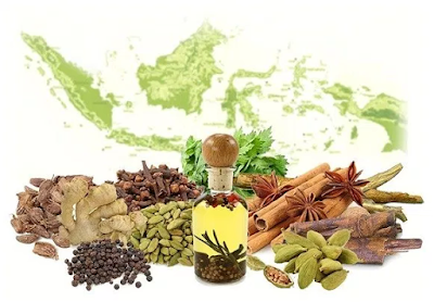 obat kuat alami