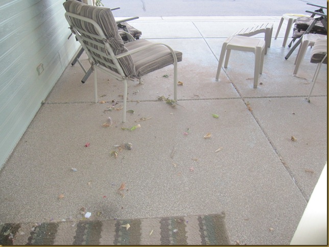 storm blog