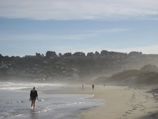 Bilde fra stranda i Dunedin -- en fin sandstrand i lyst og fint vær.