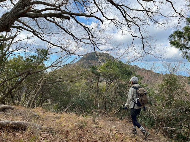 鷲頭山の山容