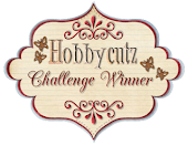 Winner at Hobbycutz