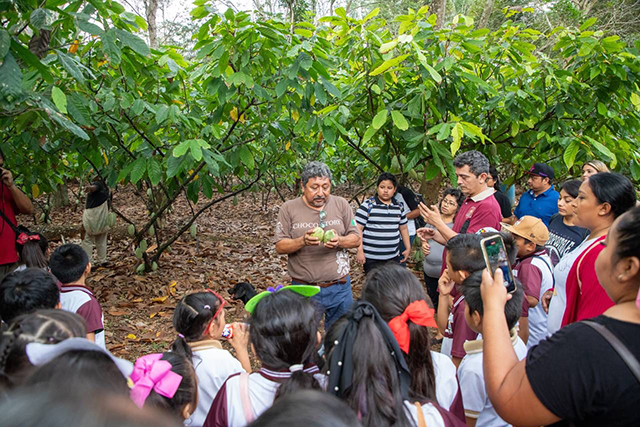 Fundaciones Hypatia, ChangeX y Nickelodeon promueven el cacao yucateco