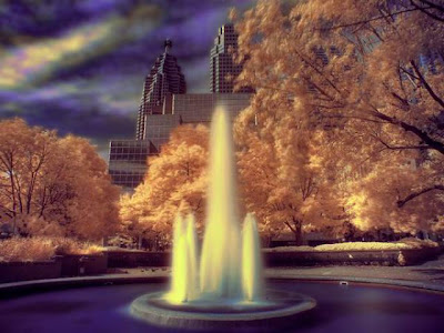 Amazing Infrared Picture Seen On www.coolpicturegallery.net