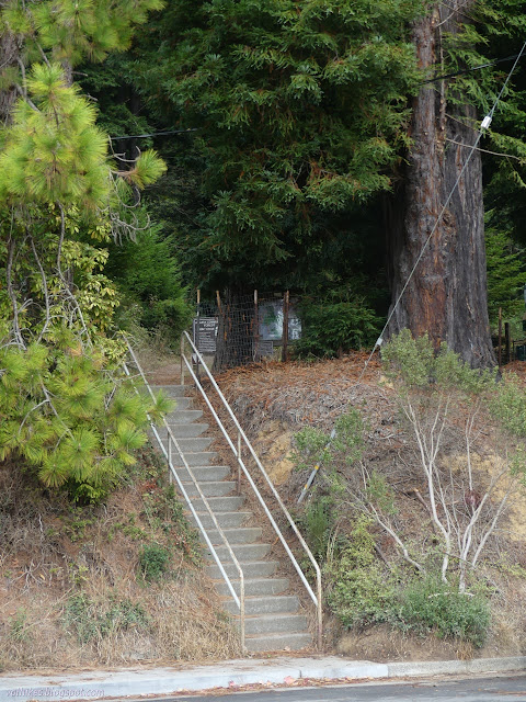 00: narrow and steep steps