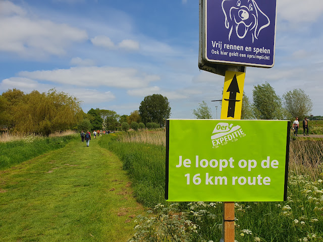 Oer Expeditie door de weilanden Castricum