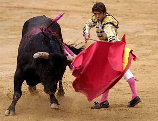 unik | mengapa banteng benci dengan warna merah