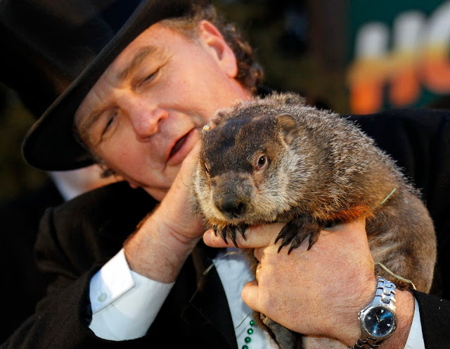 PUNXSUTAWNEY PHIL THE GROUNDHOG