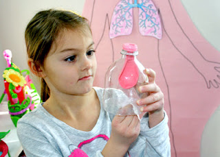 Using a clear plastic bottle cut to size, balloon, piece of plastic (cut from a bag) and tape, we created a model of a lung. Tessa pushed and pulled a tab taped to the bottom of the "diaphragm" to deflate and inflate the balloon "lung."