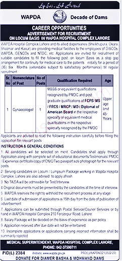 Wapda Hospital Jobs in Lahore February 2023 Advertisement
