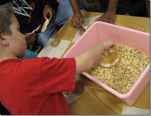 making bird feeders