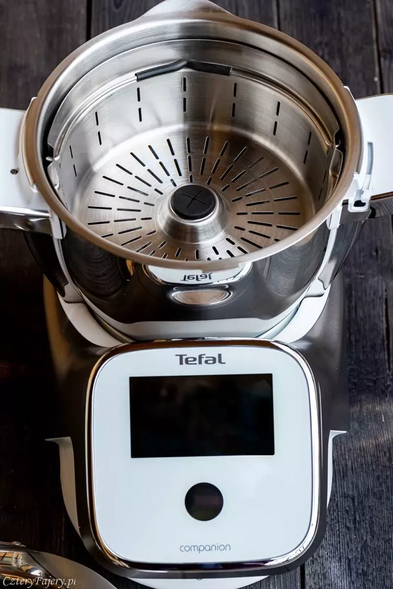 tefal-i-companion-opinie