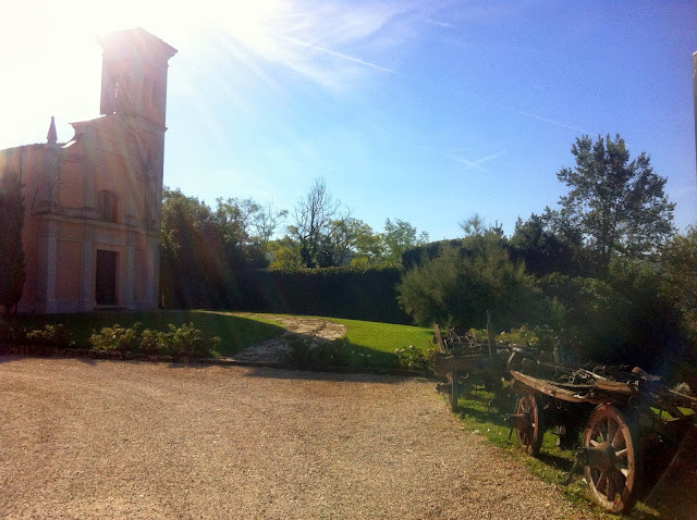 Emozione3 Degustazione e Vendemmia 2013