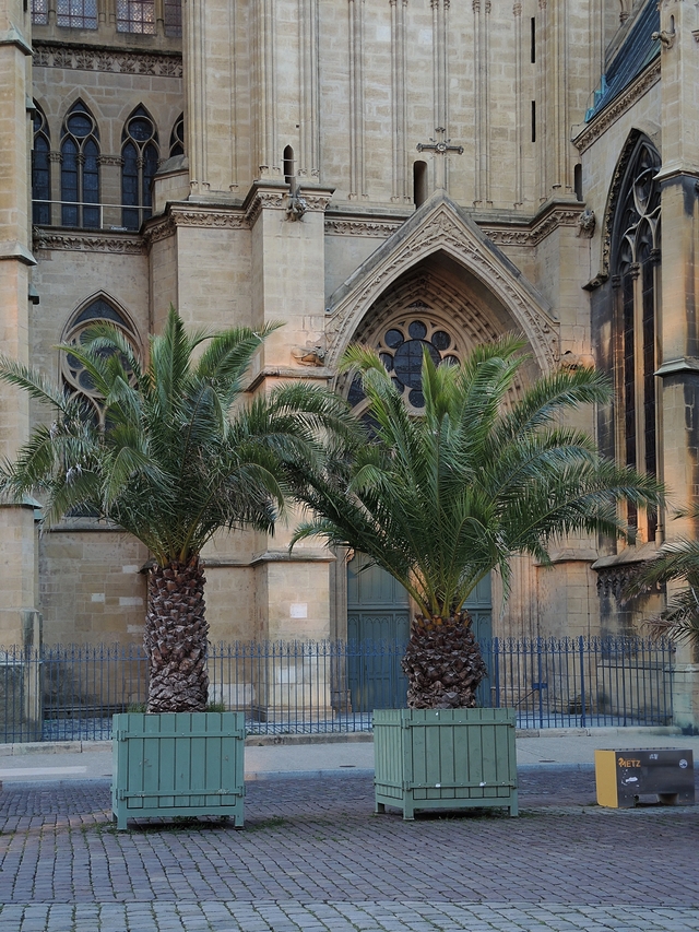 Metz: de kathedraal aan de buitenkant