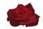 04_peb_elem_valentine_2012