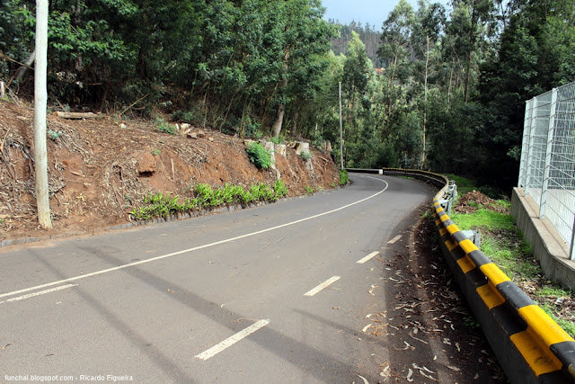 CAMINHO DOS PRETOS - FUNCHAL