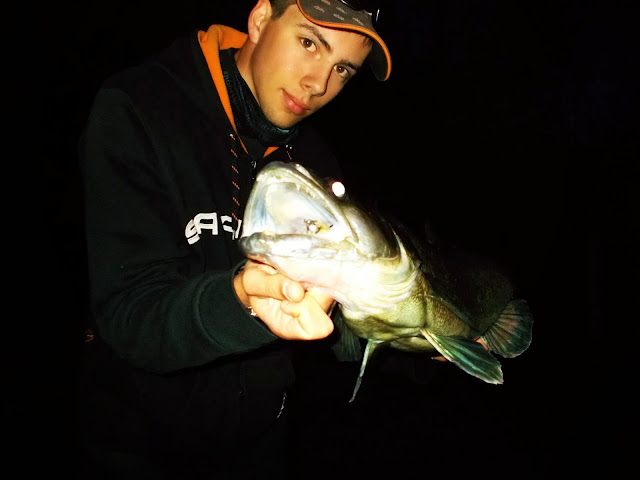 Savage Gear Quentin Combe Zander Sandre Loire Cannibal Shad 12.5cm  Fluo Glow Phosphorescent