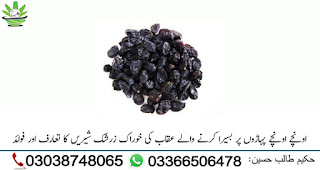  Barberries (Zereshk) Zarshak Shireen Health Benefits زرشک شیریں