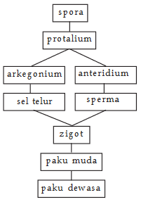 Pengelompakan Makhluk Hidup Berdasarkan Lima Kingdom (Monera, Protista, Fungi, Plantae, Animal)