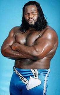 mark henry 2013