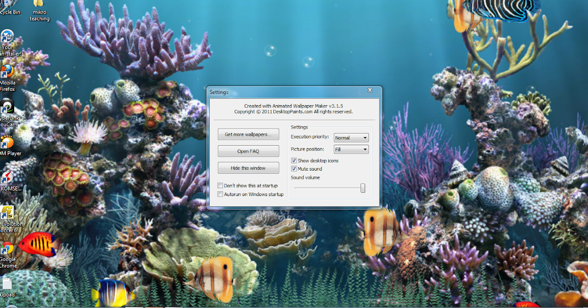 PULAU KAUNG SELALU BERSINAR: Download Wallpaper Ikan 