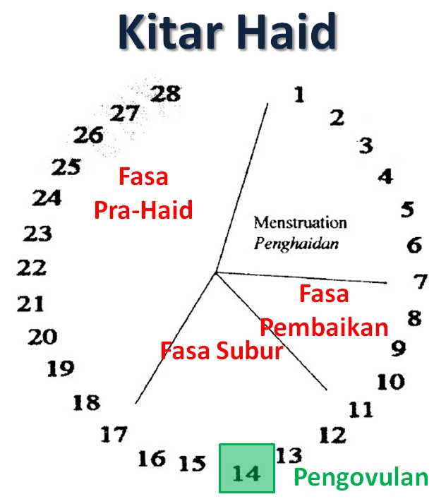 NOTA-NOTA PISMP PJ: Kitaran haid