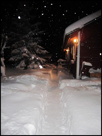 Vinter 2091