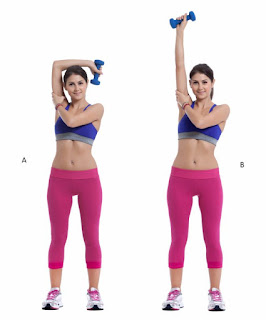 Overhead Tricep Raises