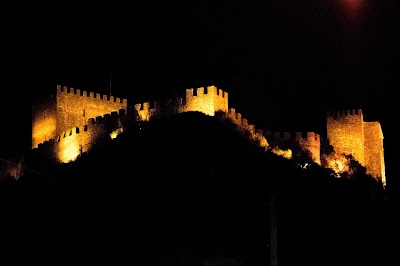 Leiria Castle by night