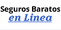 Seguros Baratos en Linea