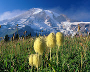 Mount Rainier National Park HD Wallpaper. Posted by ilikeit77 at 4:41 AM (mount rainier national park hd wallpaper)