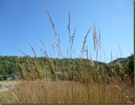 P1030650