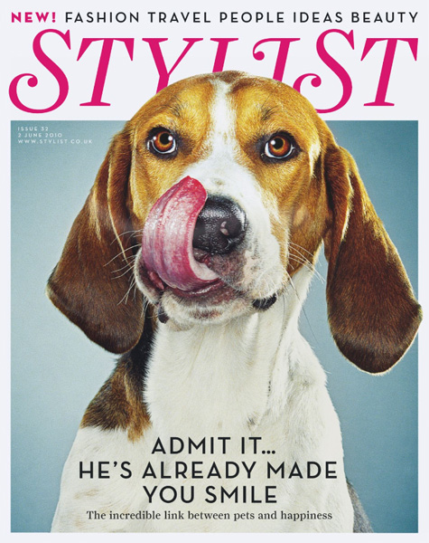 Stylist Dog Cover