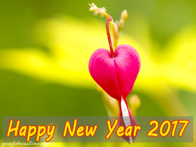 Happy New Year Wishes 