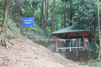 Lata Kekabu