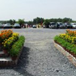 View album