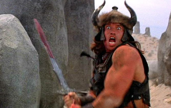 arnold schwarzenegger conan the destroyer. Conan cost $20 million,