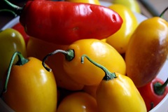 rocotos del jardín b