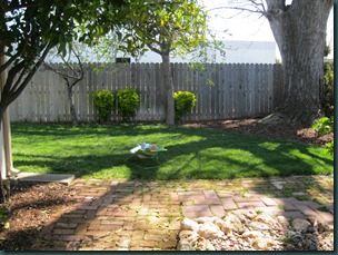 April2011 063
