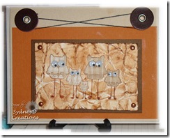 Owl Together