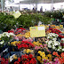 Esta acontecendo feira de Flores de Holambra em Parnaíba- PI